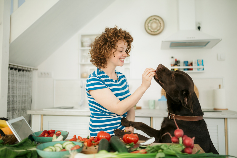 Woman feeding her dog